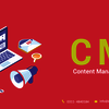 CMS Development In Lahore P... - Infosty Technologies