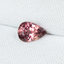 4940-SAP-A - 7/7/19
