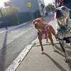 daily-dog-walker-cost-bosto... - Paws to Consider
