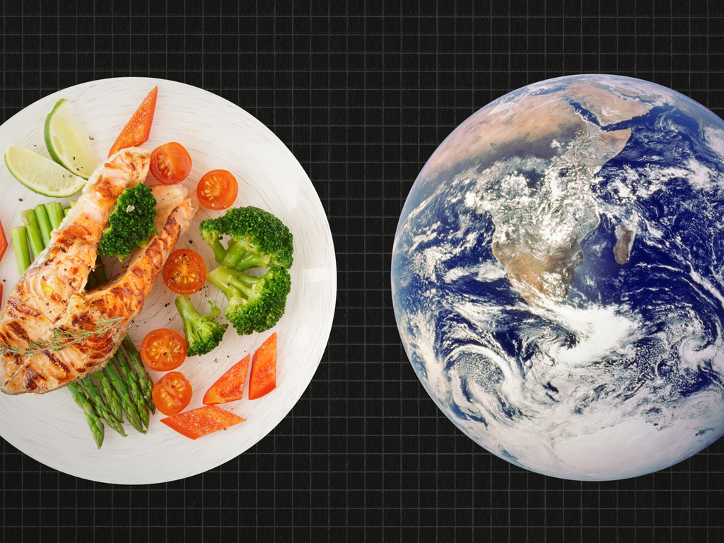 Climate Change And Veganism Picture Box