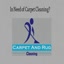 Carpet and Rug Cleaning Fay... - Carpet and Rug Cleaning Fayetteville NC
