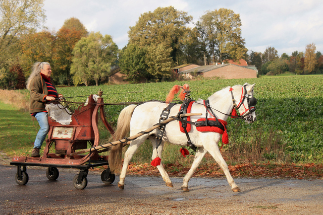 november1 balingehofforum