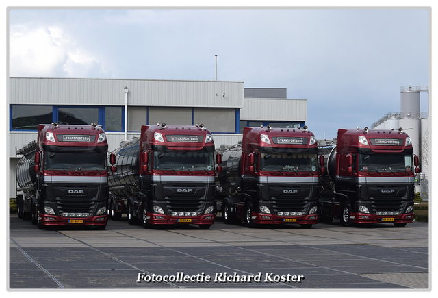 Transportbrug de Line-up DAF XF'en Euro 6-BorderMa Richard