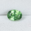 4990-DEM-A - 7/7/19