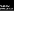 buy instagram followers india