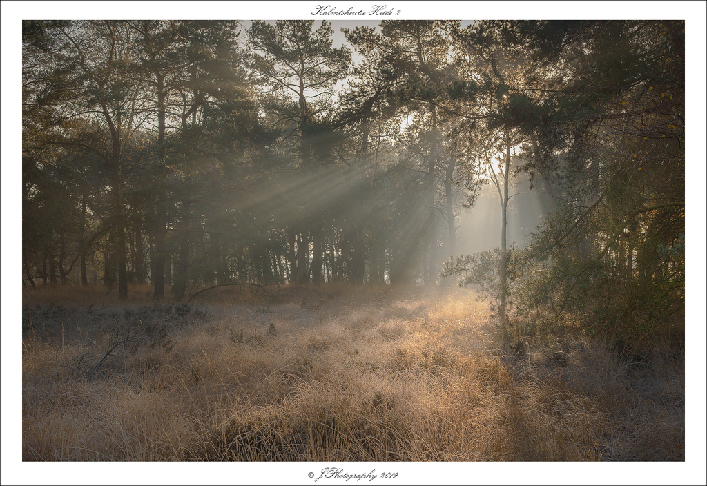  DSC1521 Kalmthoutse Heide 2 - 