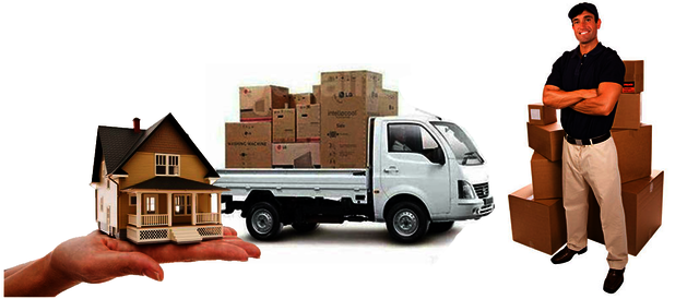 Moving and storage Dubai Movers and packers Dubai