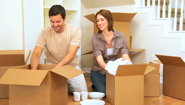 Professional Movers dubai Movers and packers Dubai