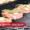 Best 6 burner gas grill - grill