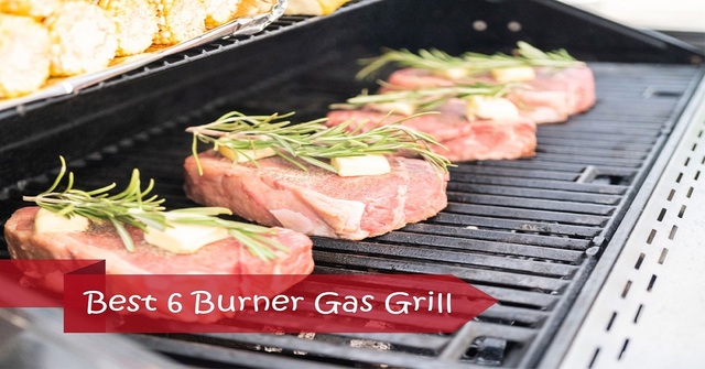 Best 6 burner gas grill grill