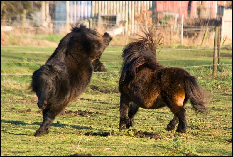 102 - shetten 30 dec