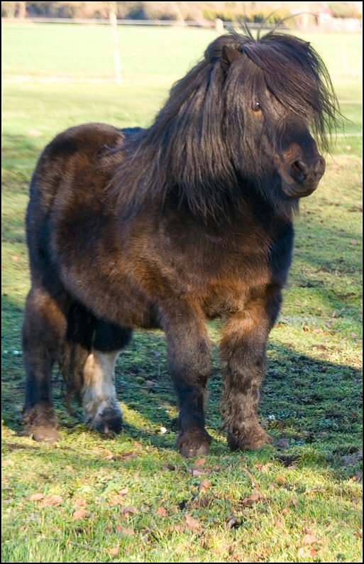 109 - shetten 30 dec