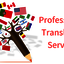 Language Translation Agency - Picture Box
