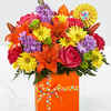 Fresh Flower Delivery Brist... - Flower delivery in Bristol