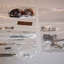 IMG 7306 (Kopie) - 375 MM Berlinetta 1953 MG 1:12