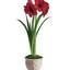 Buy Flowers Cobourg ON - Flower Delivery in Cobourg Ontario