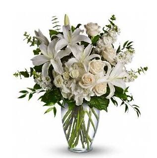 Get Well Flowers Cobourg ON Flower Delivery in Cobourg Ontario