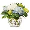 New Baby Flowers Cobourg ON - Flower Delivery in Cobourg ...