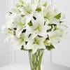 Same Day Flower Delivery Co... - Flower Delivery in Cobourg ...