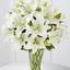Same Day Flower Delivery Co... - Flower Delivery in Cobourg Ontario