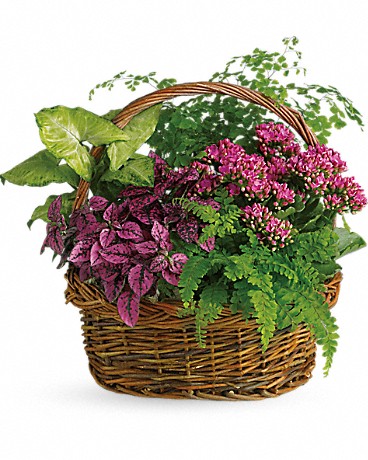 Buy Flowers Antioch CA Flower Delivery in Antioch