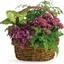 Buy Flowers Antioch CA - Flower Delivery in Antioch