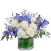 Flower Delivery in Meridian ID - Flower Delivery in Meridian