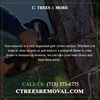 Tree Removal Houston| Call now:- (713) 373-6775