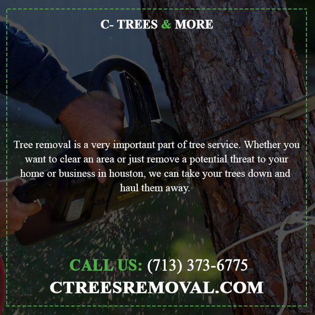 Tree Removal Houston| Call now:- (713) 373-6775 Tree Removal Houston| Call now:- (713) 373-6775