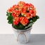 Same Day Flower Delivery Sh... - Flower Delivery in Exeter, Pennsylvania