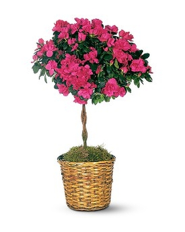 Flower Bouquet Delivery Shavertown PA Flower Delivery in ShavertownPennsylvania