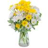 Next Day Delivery Flowers R... - Flower Delivery in Rockledge