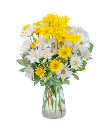 Next Day Delivery Flowers Rockledge PA Flower Delivery in Rockledge