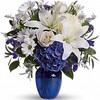 Christmas Flowers Rockledge PA - Flower Delivery in Rockledge