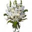 Flower Delivery in New Wilm... - Flower Delivery in New Wilmington