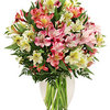 Flower Shop New Wilmington PA - Flower Delivery in New Wilm...