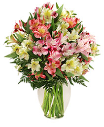 Flower Shop New Wilmington PA Flower Delivery in New Wilmington
