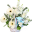 Same Day Flower Delivery Ne... - Flower Delivery in New Wilmington