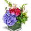 Flower Bouquet Delivery Phi... - Flower Delivery in Philadelphia Pennsylvania