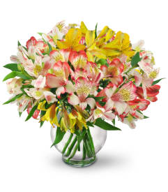 Funeral Flowers Philadelphia PA Flower Delivery in Philadelphia Pennsylvania