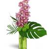 Get Flowers Delivered Phila... - Flower Delivery in Philadel...