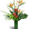 Next Day Delivery Flowers P... - Flower Delivery in Philadel...