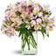 Sympathy Flowers Philadelph... - Flower Delivery in Philadelphia Pennsylvania