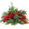 Christmas Flowers Bonita Sp... - Flower Delivery in Bonita S...
