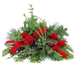 Christmas Flowers Bonita Springs FL Flower Delivery in Bonita Springs