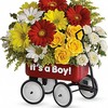 New Baby Flowers Broomfield CO - Flower Delivery in Broomfield
