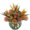 Next Day Delivery Flowers C... - Flower Delivery in Clevelan...