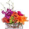 Florist Weymouth MA - Flower Delivery in Weymouth
