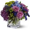 Same Day Flower Delivery We... - Flower Delivery in Weymouth