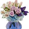 Next Day Delivery Flowers A... - Delivery in Avon Lake OH
